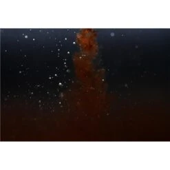 ATTRACTANT LIQUIDE STICKY BAITS CLOUDY BLOODWORM LIQUID -Promos Silence Peche Boutique attractant liquide sticky baits cloudy bloodworm liquid z 2666 266630 3