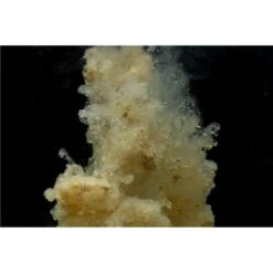 STICK MIX STICKY BAITS MANILLA ACTIVE MIX -Promos Silence Peche Boutique stick mix sticky baits manilla active z 2666 266642 3