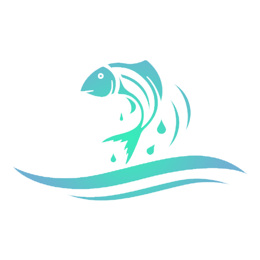 Promos Silence Peche Boutique