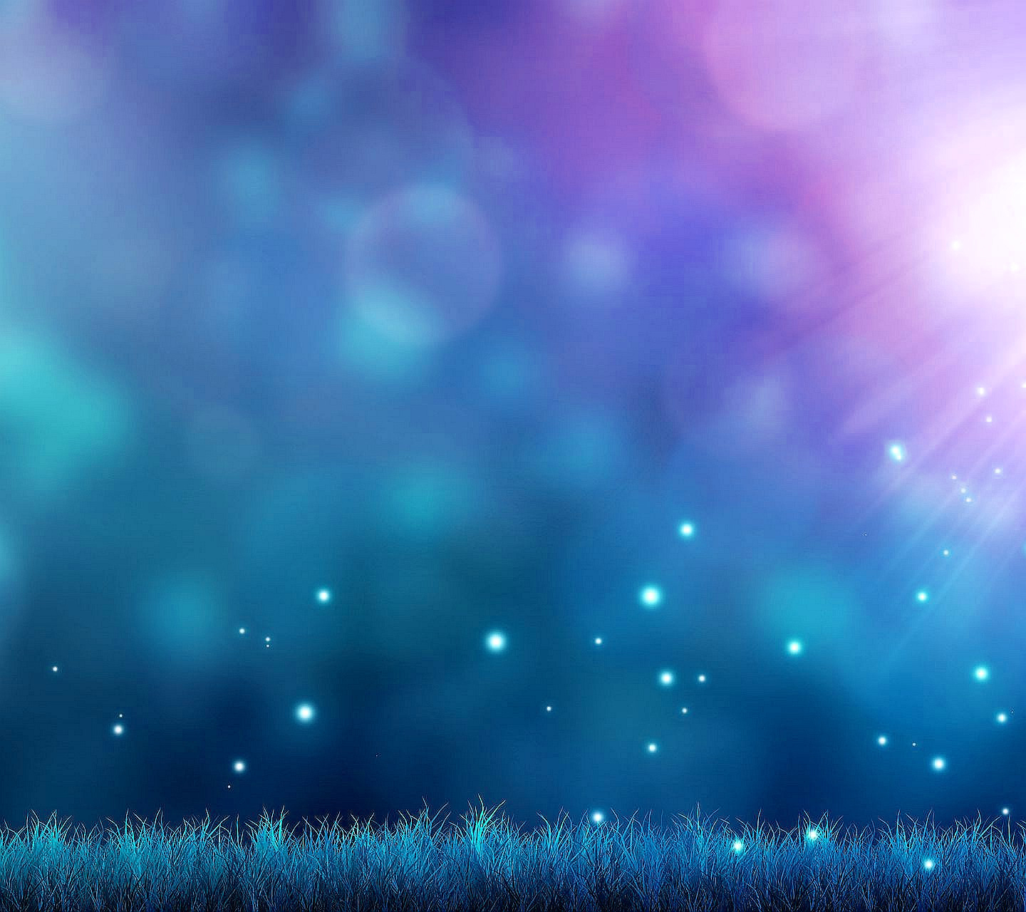 Promos Silence Peche Boutique -Promos Silence Peche Boutique sunlight nature grass field insect green 360289 wallhere.com1